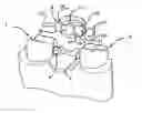 Fig. 01 - Prosthesis for a tooth, and set for such prosthesis