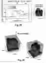 Fig. 28 - Radiation probe and detecting tooth decay