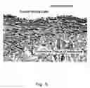 Fig. 05 - Method of cryopreservation of tissues by vitrification