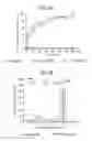 Fig. 09 - Capping enzyme of flavivirus and utilization of this protein in a process to test drugs with antiviral properties