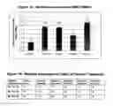 Fig. 02 - Targets for hepatitis C virus infections