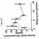 Fig. 05 - Methods for producing and using in vivo pseudotyped retroviruses