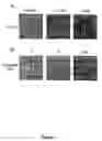 Fig. 07 - Gene expression profile for KSHV infection and methods for treating same