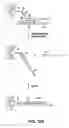 Fig. 17 - Detection of nucleic acid reactions on bead arrays