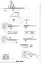 Fig. 18 - Detection of nucleic acid reactions on bead arrays