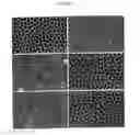 Fig. 04 - Screening assays
