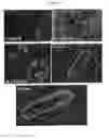 Fig. 09 - Screening assays