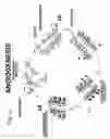 Fig. 30 - Nucleic acid encoding TIE-2 ligand
