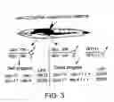 Fig. 04 - RNA interference pathway genes as tools for targeted genetic interference