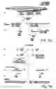 Fig. 16 - RNA interference pathway genes as tools for targeted genetic interference