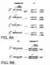 Fig. 17 - RNA interference pathway genes as tools for targeted genetic interference