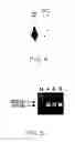 Fig. 05 - Identification of differentially methylated and mutated nucleic acids