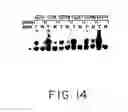 Fig. 12 - Identification of differentially methylated and mutated nucleic acids