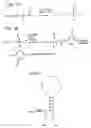 Fig. 02 - Nucleic acid-based detection