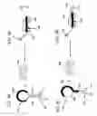 Fig. 03 - Nucleic acid-based detection