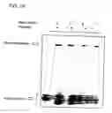 Fig. 13 - Nucleic acid-based detection