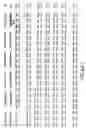 Fig. 05 - Nucleic acid encoding Bacillus stearothermophilus polc polymerase subunit