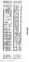 Fig. 14 - Nucleic acid encoding Bacillus stearothermophilus polc polymerase subunit