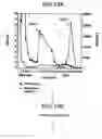 Fig. 22 - Nucleic acid encoding Bacillus stearothermophilus polc polymerase subunit