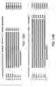 Fig. 25 - Nucleic acid encoding Bacillus stearothermophilus polc polymerase subunit