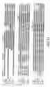 Fig. 29 - Nucleic acid encoding Bacillus stearothermophilus polc polymerase subunit