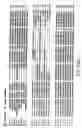 Fig. 31 - Nucleic acid encoding Bacillus stearothermophilus polc polymerase subunit