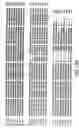 Fig. 32 - Nucleic acid encoding Bacillus stearothermophilus polc polymerase subunit