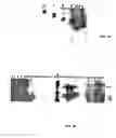 Fig. 43 - Nucleic acid encoding Bacillus stearothermophilus polc polymerase subunit