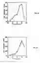 Fig. 46 - Nucleic acid encoding Bacillus stearothermophilus polc polymerase subunit