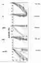 Fig. 47 - Nucleic acid encoding Bacillus stearothermophilus polc polymerase subunit