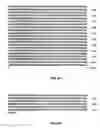 Fig. 55 - Nucleic acid encoding Bacillus stearothermophilus polc polymerase subunit