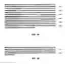 Fig. 56 - Nucleic acid encoding Bacillus stearothermophilus polc polymerase subunit