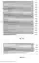Fig. 58 - Nucleic acid encoding Bacillus stearothermophilus polc polymerase subunit
