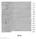Fig. 63 - Nucleic acid encoding Bacillus stearothermophilus polc polymerase subunit