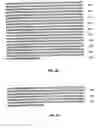 Fig. 67 - Nucleic acid encoding Bacillus stearothermophilus polc polymerase subunit