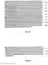 Fig. 68 - Nucleic acid encoding Bacillus stearothermophilus polc polymerase subunit