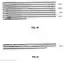 Fig. 69 - Nucleic acid encoding Bacillus stearothermophilus polc polymerase subunit