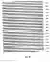 Fig. 71 - Nucleic acid encoding Bacillus stearothermophilus polc polymerase subunit