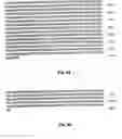 Fig. 78 - Nucleic acid encoding Bacillus stearothermophilus polc polymerase subunit