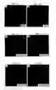 Fig. 04 - Isolated polypeptide deletion mutants of survival of motor neuron-interacting protein 1