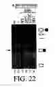 Fig. 23 - Isolated polypeptide deletion mutants of survival of motor neuron-interacting protein 1