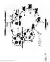 Fig. 24 - Isolated polypeptide deletion mutants of survival of motor neuron-interacting protein 1