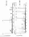 Fig. 26 - Isolated polypeptide deletion mutants of survival of motor neuron-interacting protein 1