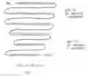 Fig. 03 - Nucleic acids encoding polyepitope polypeptides