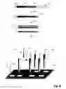 Fig. 09 - System and methods for enhancing signal-to-noise ratios of microarray-based measurements