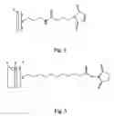 Fig. 05 - Array devices and methods of use thereof
