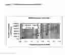 Fig. 31 - Host cells containing multiple integrating vectors