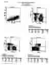 Fig. 08 - Chronic lymphocytic leukemia cell line