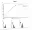 Fig. 02 - 5T4 antigen expression