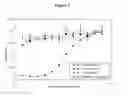Fig. 04 - 5T4 antigen expression